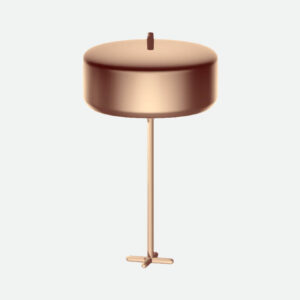 Product Name 10